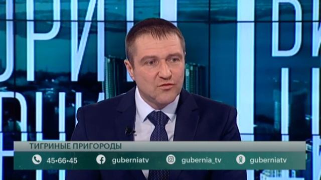 Тигриные пригороды. Говорит Губерния. 03/03/2021. GuberniaTV