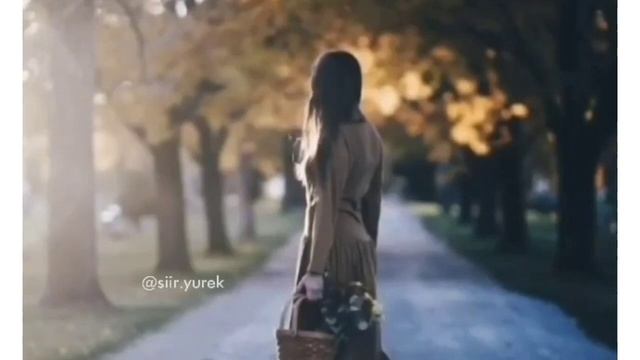 "Мен оқыған бір өлең" Поэзия. Авторы: Ерлан Жүніс Оқыған: Ерсайын Нұршат