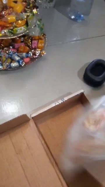 Мухомор купить Сочи. Доставка