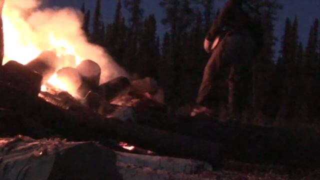 Slash Burning Mountain Pine Beetle
