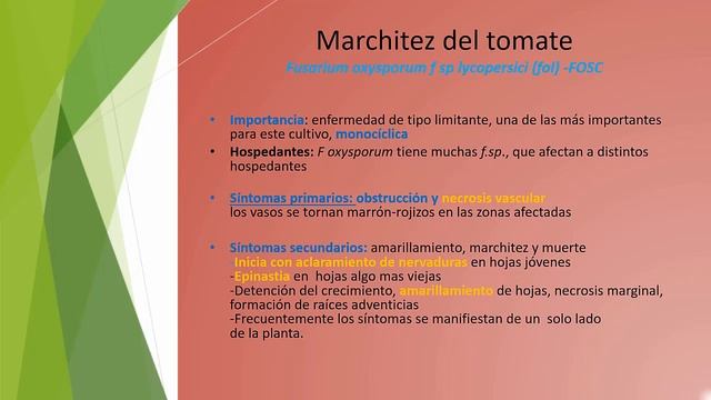 Género Fusarium (Parte 1)