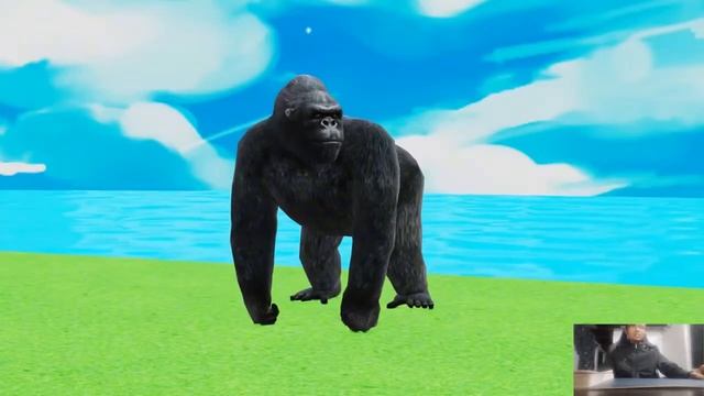 Long Slide Game With Elephant Gorilla Buffalo Hippopotamus Tiger - 3d Animal Game - Funny 3d Animal