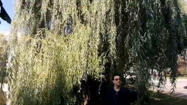 129. Прогулка в "Бабье лето"🌳🌤️🕌🌳🍁🌿🍁