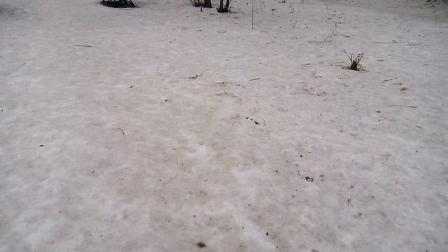 Поход за хлебом -3 забортом