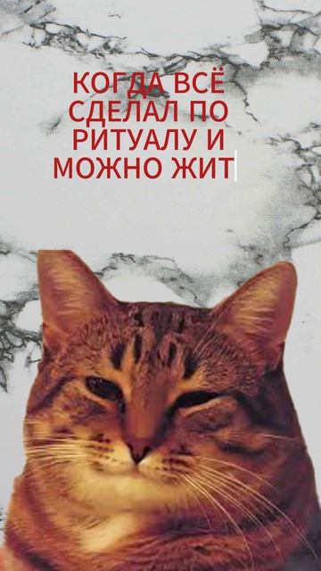 А что такое обсессивно-компульсивное расстройство? Часть 2