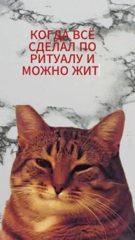 А что такое обсессивно-компульсивное расстройство? Часть 2