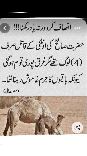 #urdu poetry#aadi shafey