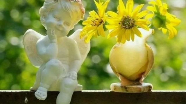Позволь себе расцвести диковинным цветком под золотым солнцем любви! Психолог Евгений Седов