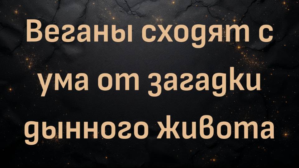 Веганы сходят с ума от загадки дынного живота (Ли из Кента)