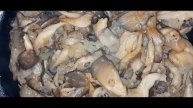 Грибы.Вешенки в сметане.