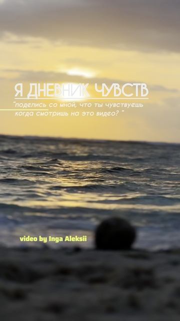 Дневник чувств ( diary of feelings )