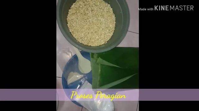 FERMENTASI TEMPE_kel.3_klo.2