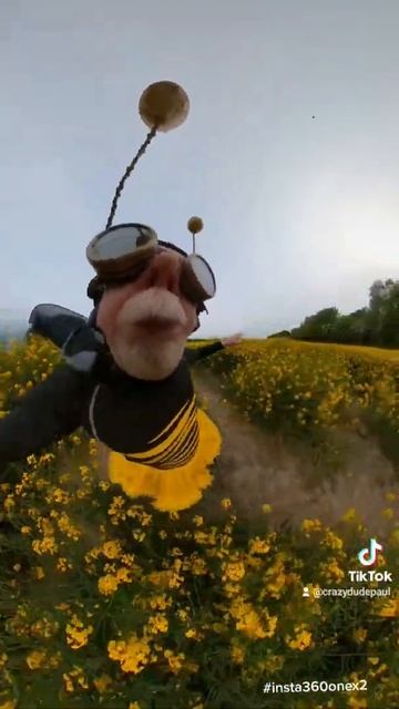 Busy Bee - #CrazyDudePaul - Insta360NoseMode