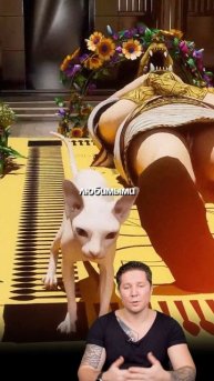 Что внутри древнеегипетских гробниц? #научпоп #история #интересныефакты