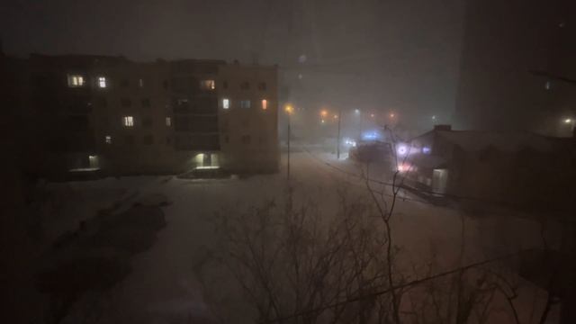 4 декабря 2023 г.