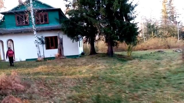 Поход в горы , собираем грибы