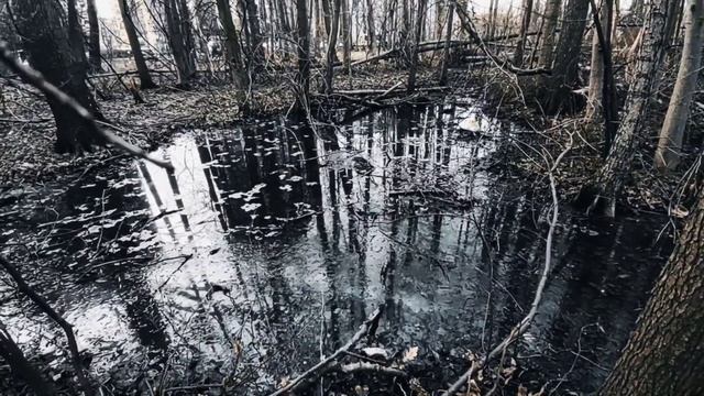 VID 20230416 023259 Добыча (Гильвик)...Павел Васильев Лахтинский