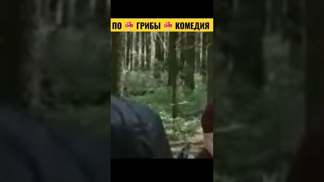 ПО 🍄 ГРИБЫ 🍄 КОМЕДИЯ #кино #комедия #фильм #фильмы #кинокомедии #shorts #short