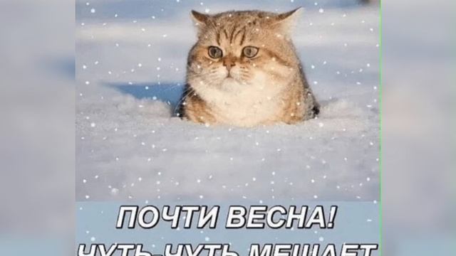 Позитивного настроения😘😘😘