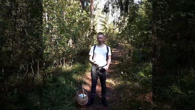 ПО ГРИБЫ ДА ПО ЯГОДЫ