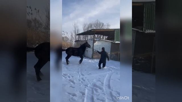Срочно Срочно корунуздор