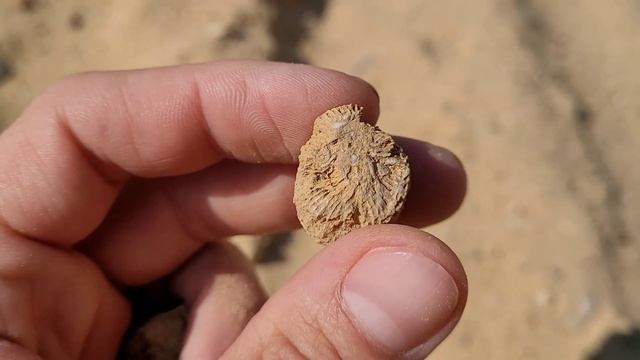 A Peaceful Adventure At The Sandbox Rockhounding!