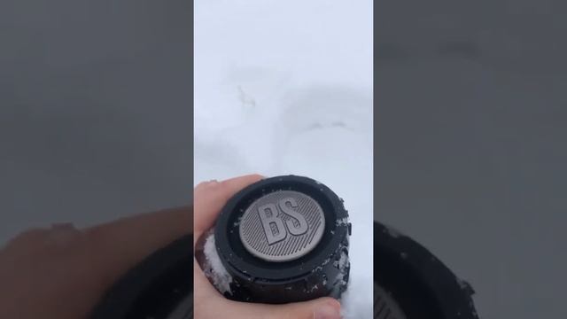 Snow bass test JBL Flip 5 bs gg