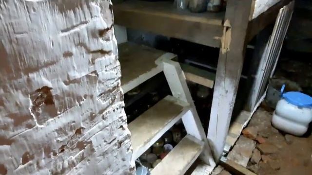 СТРАТЕГИЧЕСКИЙ ЗАПАС🧅🥕🥔🧄🥦🍅🍆🐰🐔 С ГОЛОДУ НЕ ПОМРЕМ😂😂😂😂