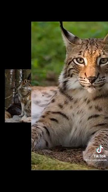 8 апреля 2021 г.