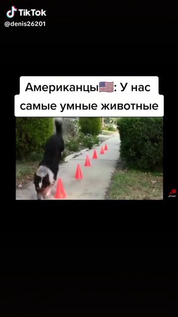 ac7276806eca3ad1e1e847f8d3a61efe