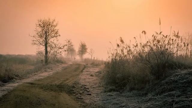 Весенняя любовь  Николай Полотнянко