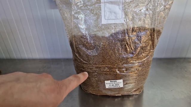 Pestujeme huby doma - REISHI  (Ganoderma Multipileum).