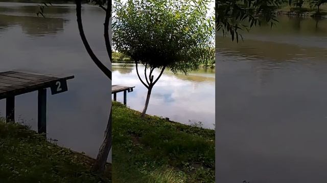 А давайте посеем любовь...,стихи для души,автор Наталья Титова