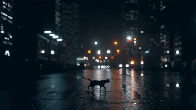 Одинокие мосты