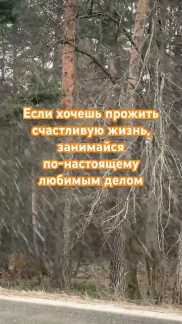Дело