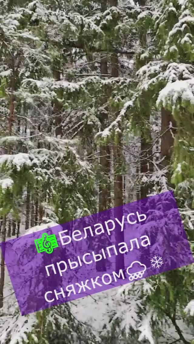 🎼Беларусь прысыпала сняжком🌨❄️