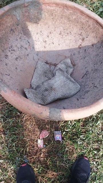 singhade ki kheti soraon सिंघाड़े की खेती सोरांव