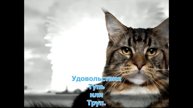 кОТ дА вИНЧИ-ДУМА-4 СЕРИЯ (видео поэзия с субтитрами)