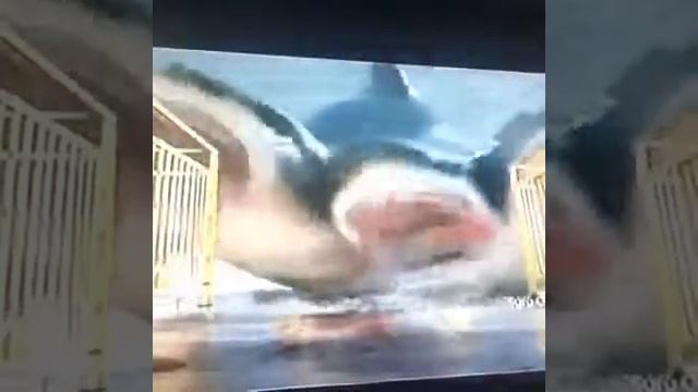 Karrueche Tran In 3 Headed Shark Attack