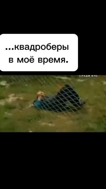 я не булю и не увожаю квадроберов