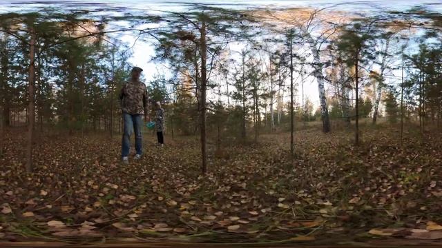 по грибы 360 камера