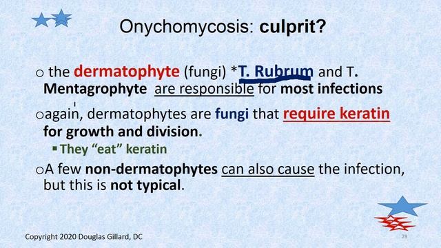 Dermatology:(WK9)(Fall-20): Dermatophytoses: onychomycosis, tinea pedis, tinea corporis, +