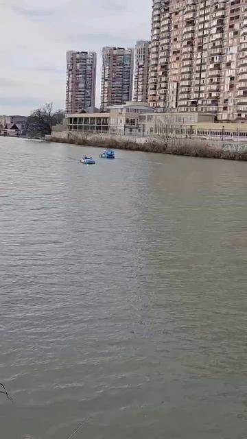 Вот такой февраль у нас в Краснодаре.