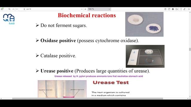 HU GIS Microbiology Lec 1 Dr. Haneen