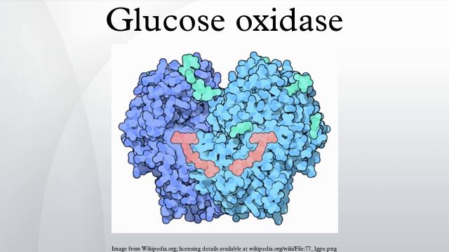 Glucose oxidase