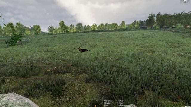 The K9 Team is serious business (most of the time) - Clear Backblast