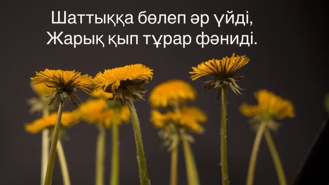 Поэзия|Қазақ қызына|Саят Әбенов