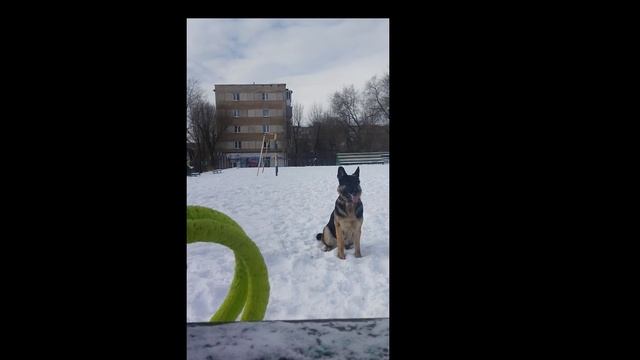 Апортировка  предметов