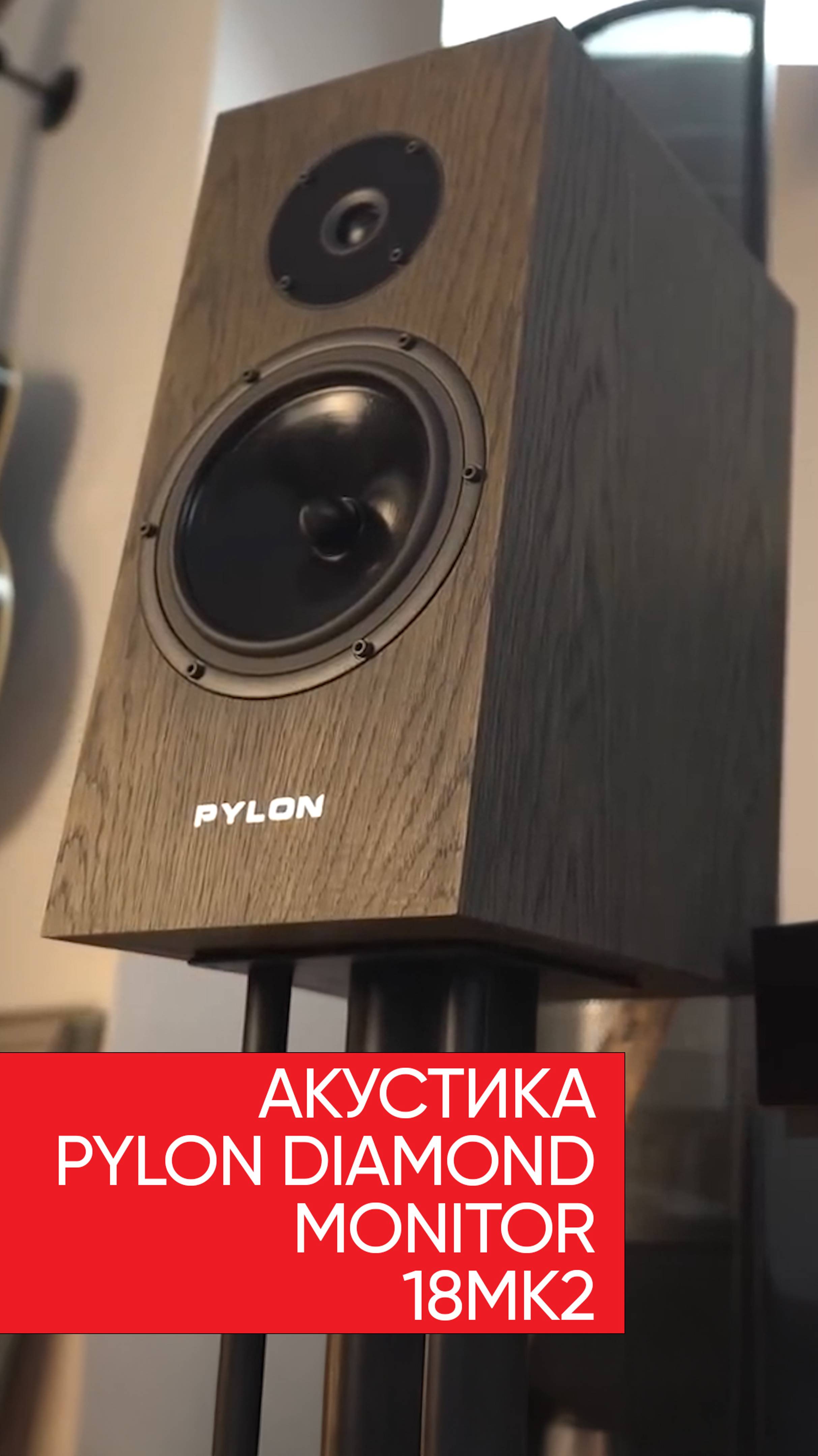 Pylon Diamond Monitor 18mk2