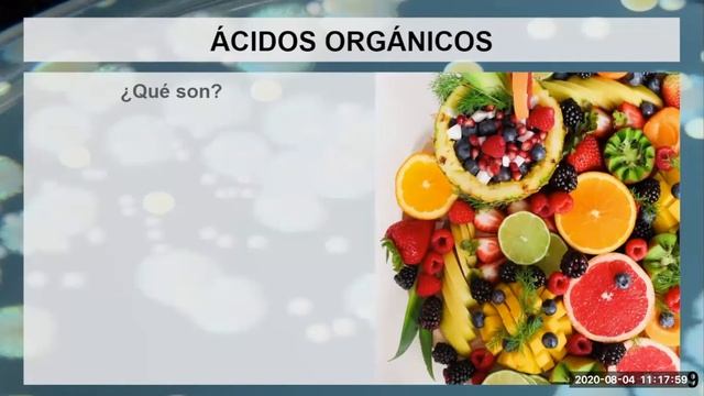 Producción de ácidos orgánicos por bacterias y de ácido cítrico por hongos (Examen Final Grupo 8).